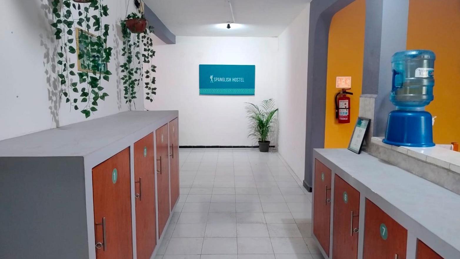 Spanglish Hostel Вальядолид Экстерьер фото