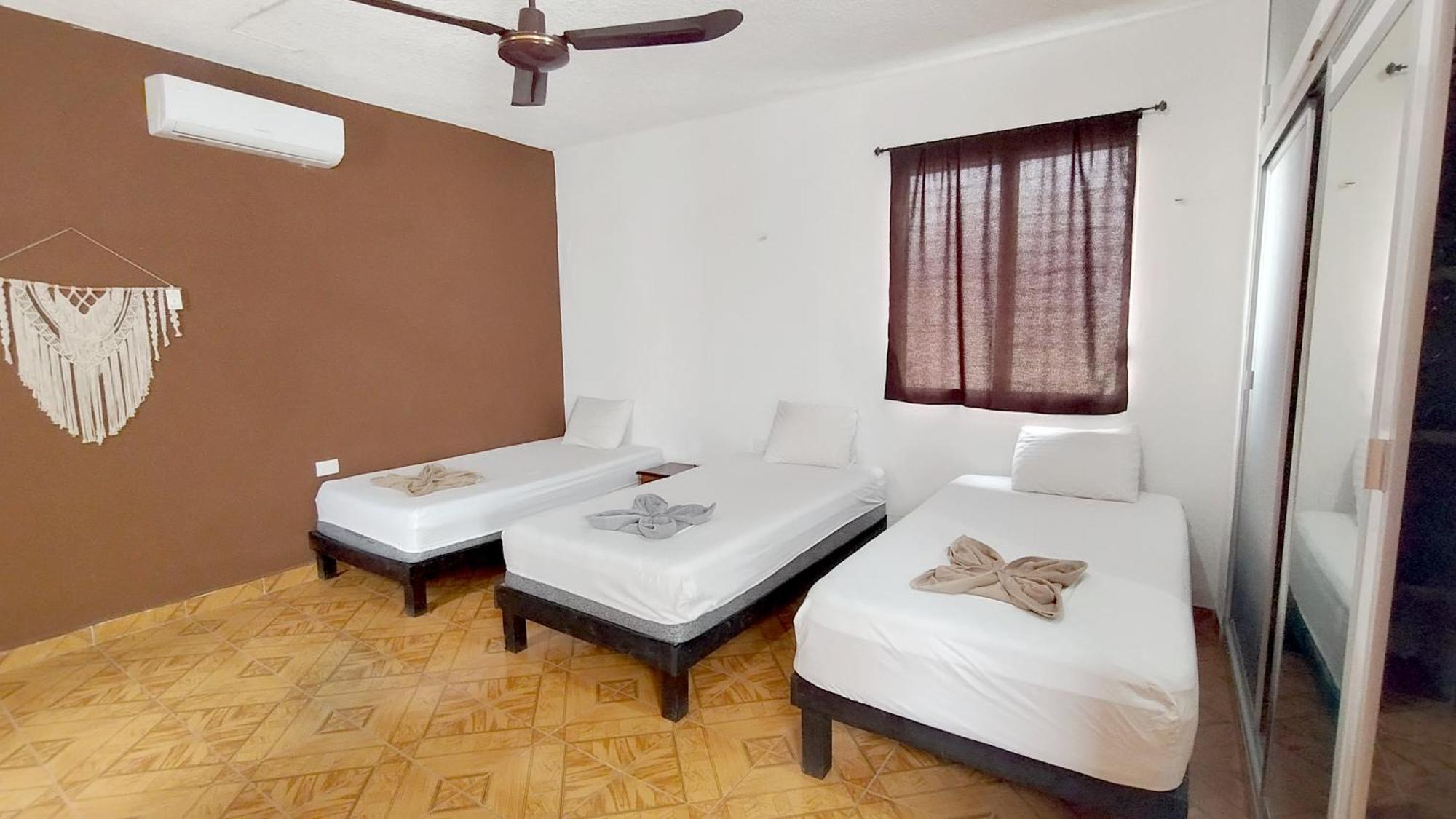 Spanglish Hostel Вальядолид Экстерьер фото